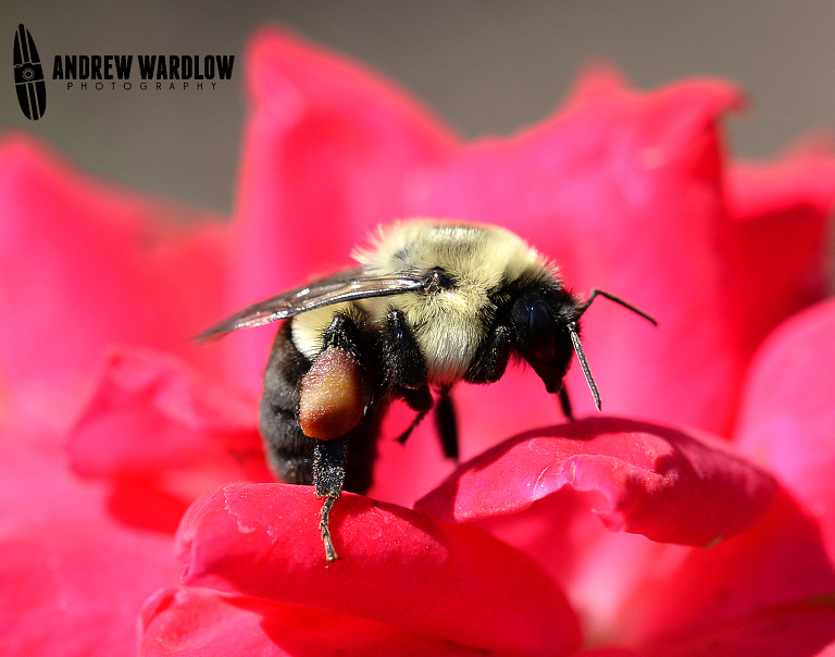 Panama City Editorial Photographer