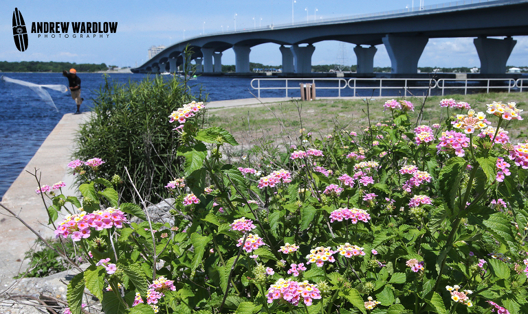 Panama City Editorial Photographer