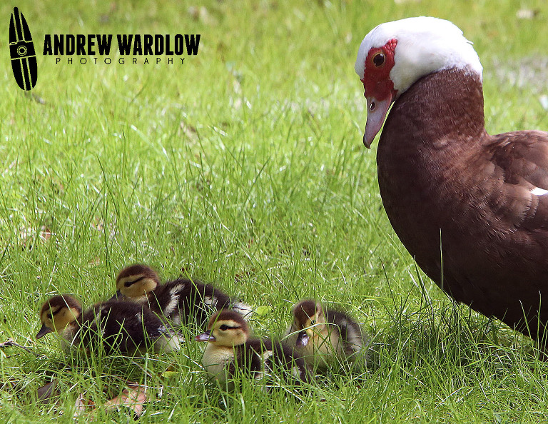 Panama City Editorial Photographer