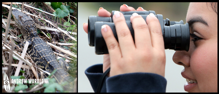 Panama City Nature Photographer