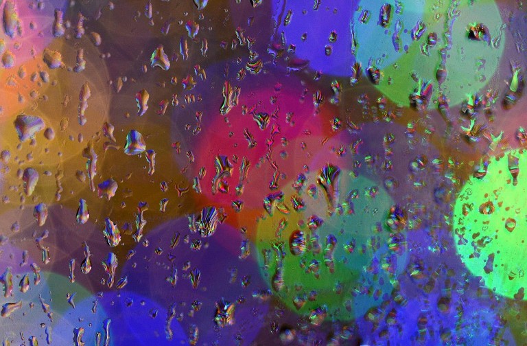 Water beads up on a car window near the Panama City Christmas Tree. (Panama City Photographer | Andrew Wardlow)