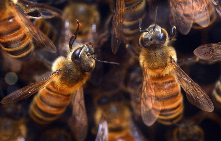 Panama City Editorial Photographer