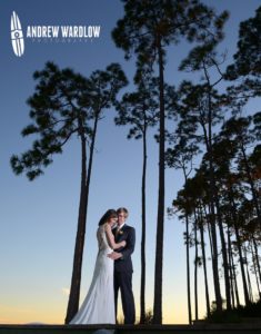 Bride and Groom photographed near trees at sunset in Panama City Beach, Floirda.