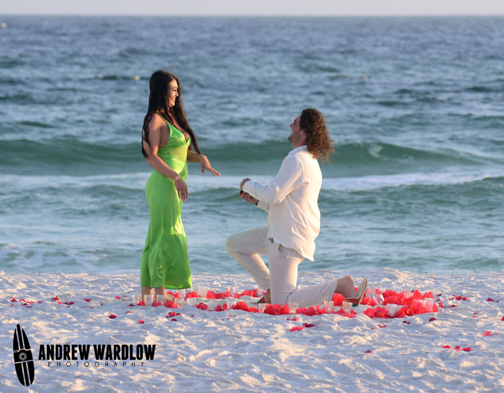 A man gets down on one knee and proposes in the center of a rose-petal heart in Panama City Beach during a beach proposal photo session.